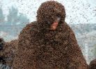 Phá kỷ lục thế giới khi để hơn 1 triệu con ong chích khắp người